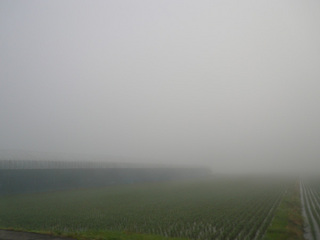 0P1010696.jpg