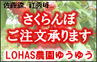 ban_cherry.jpg